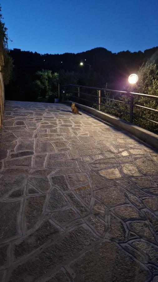 Villa Degli Ulivi Tivegna Kültér fotó