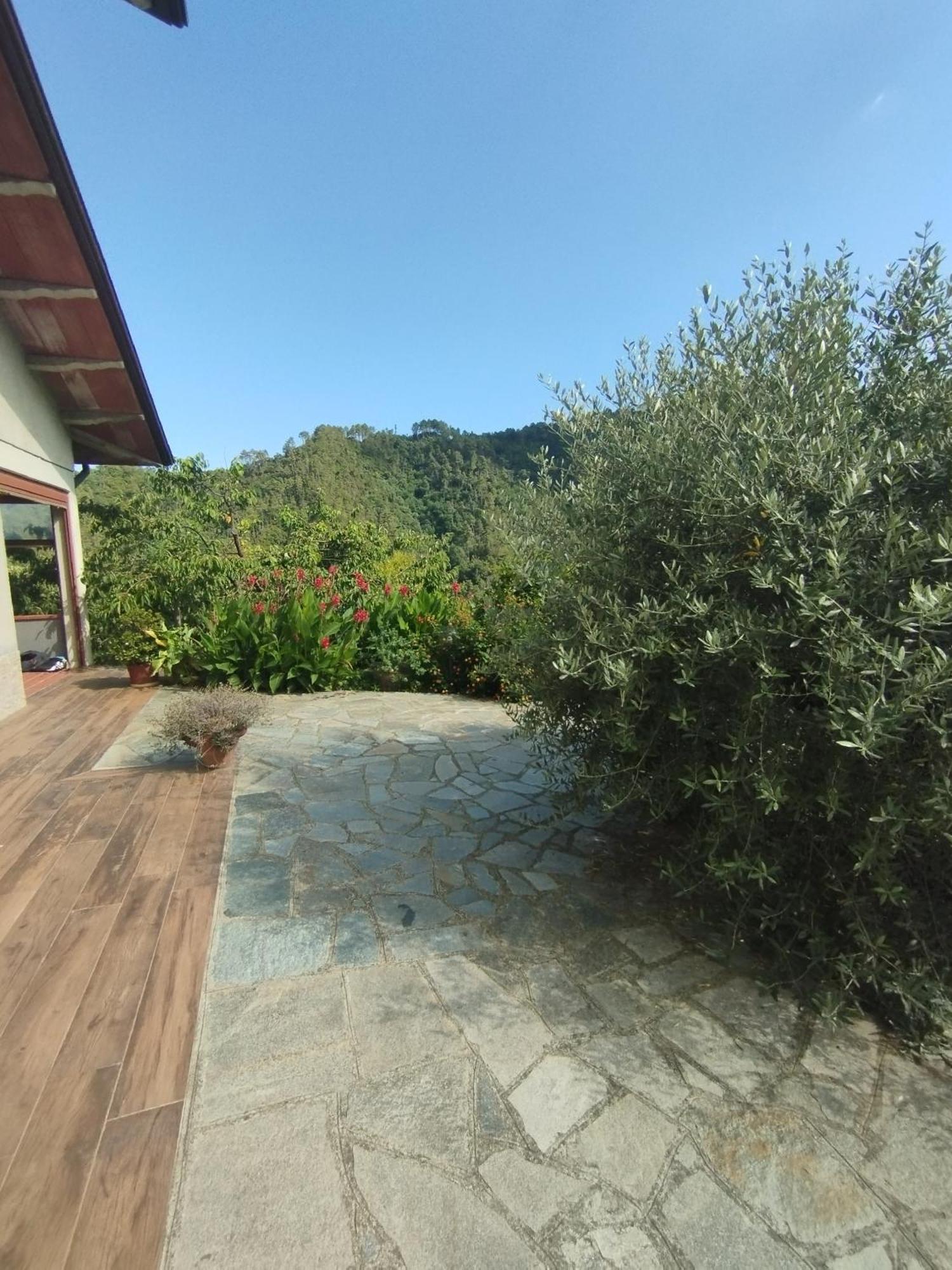 Villa Degli Ulivi Tivegna Kültér fotó