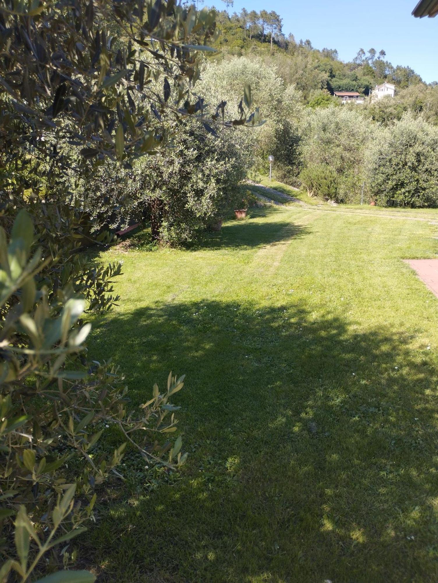 Villa Degli Ulivi Tivegna Kültér fotó