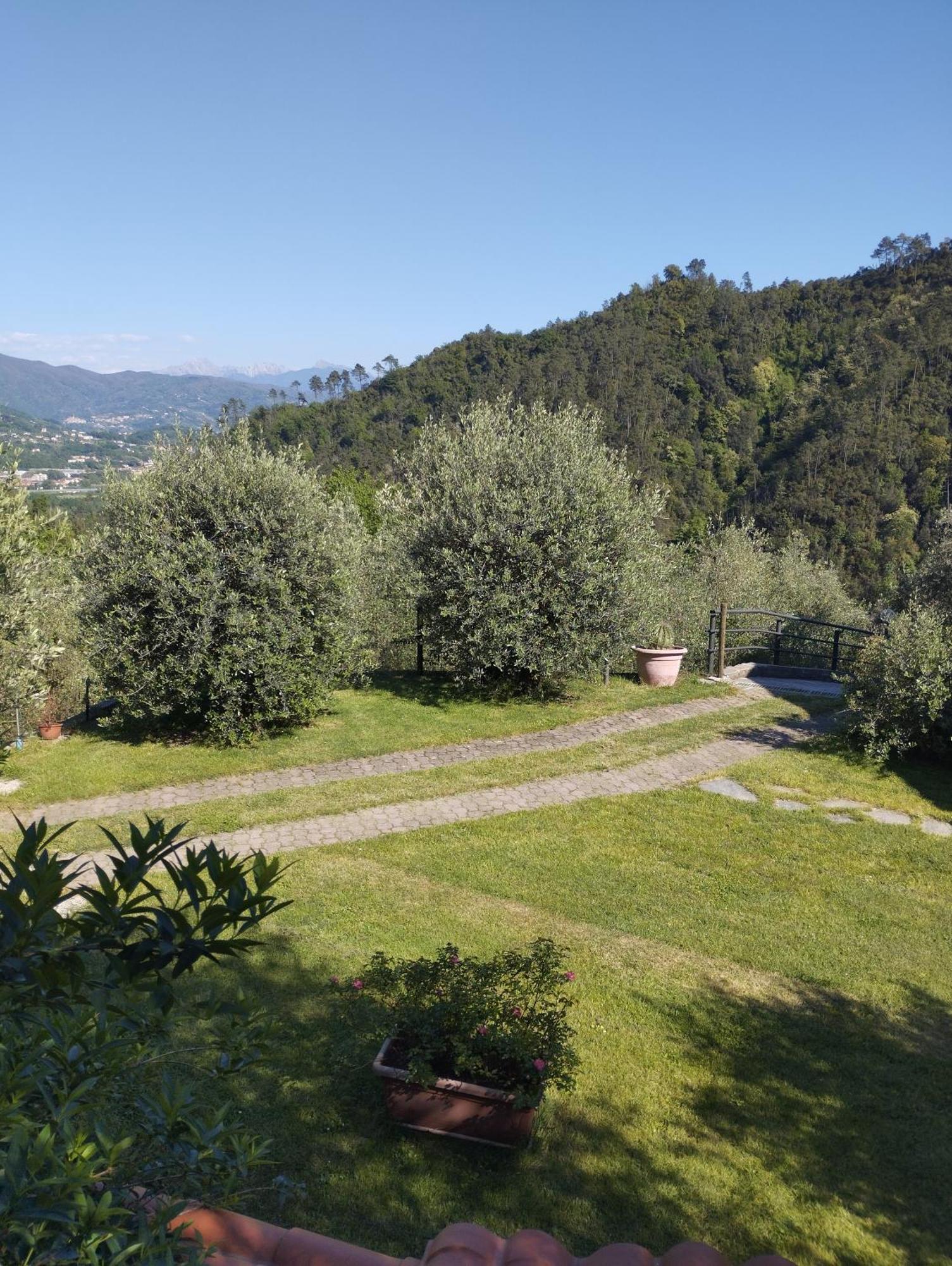 Villa Degli Ulivi Tivegna Kültér fotó