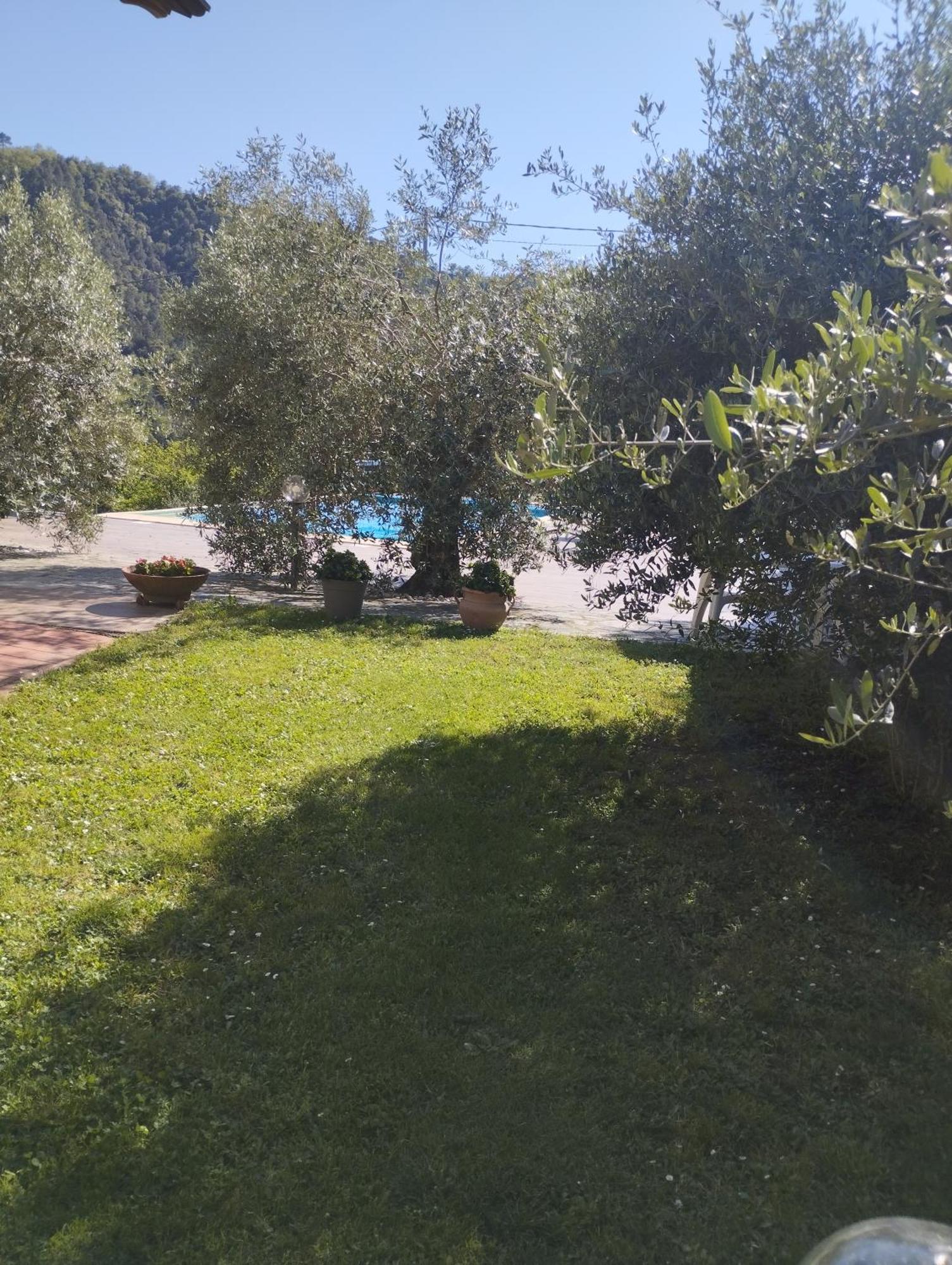 Villa Degli Ulivi Tivegna Kültér fotó
